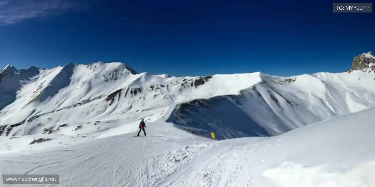 📱弹幕狂欢，实时互动！⚡️