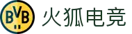 火狐电竞 - 点燃电竞激情，赛出体育精神